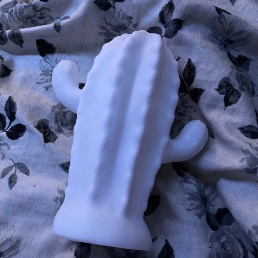 Color changing cactus - Picture 4 of 5